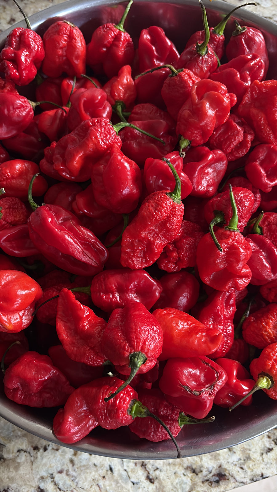 Carolina Reaper recién llegados a la cocina de Foca Madre