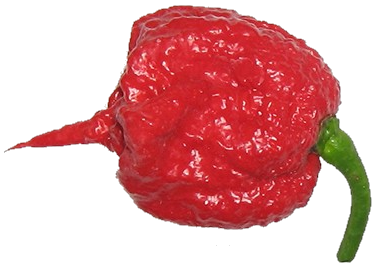 Chile Carolina Reaper, ingrediente principal de Carolina L'A Tóxica